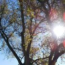 Chinatsu Toma Nagata