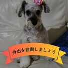 きぐち まさゆき