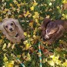 ウメモト ミヨコ