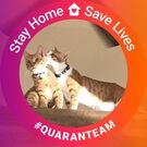 葉山ねこねこランド岩﨑 日登美