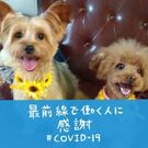 ひばな　 きょうこ