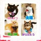 YokoKaribe雁部陽子