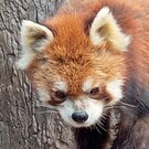 らふらんす（賢健❤大好き）