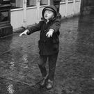 いまいずみ さいとう よしみ