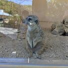 まいにち安全🍀