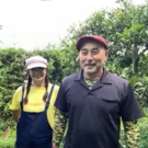 ユウギボウシ愛媛