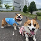 マッシュ＆ティー