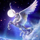 naoking_777@i.softbank.jp