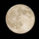 ベーグル（yasueda）