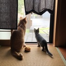 しあわせにゃんこ