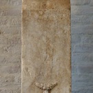 ティムポーランド