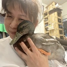 わんにゃんカモ