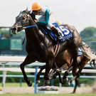 マキノマックイーン