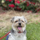 まりん（有馬）