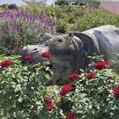 いまい　よしみ