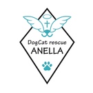 DogCat rescue ANELLA