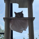 ボタンにメロメロ💕