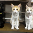 ビス&カルペ&ディエム