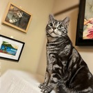 まいけるアロaloha🌺