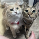 むったんみったん