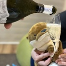 Kawaii usono kawauso