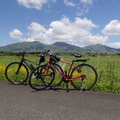 穴田行政書士事務所