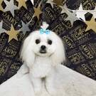 すぎとやのマルぱぱ