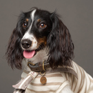 BIM氏のおかーたん