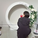 てとらぴーちゃん