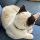 きるいちチャン