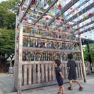 ＊みさき＊(YouTube名：岬)