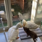 株式会社糸崎工務店