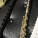 けんたんぬ(Fl &Picc)