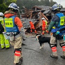 全国災害救助犬協会