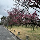 みえはるちゃん