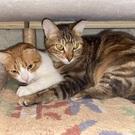 チャーくん&ペッペ