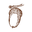 進行中のクラファンページはコチラから