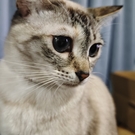 琉華パパ・ママ