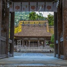 摩氣神社茅葺屋根修復プロジェクト