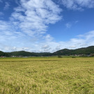 おこめんプロジェクト