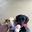 じんくん&れいくん