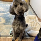 ココラボ♪_azuma