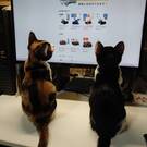 メリみ（*^_^*）