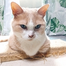 魚が釣れない釣り人