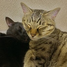 タケハラカズミ