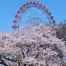 株式会社マサミチ