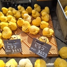 ひよこのおかあさん🐥