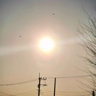 大地の聖樹空也