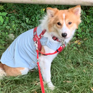 ソフィア&ファミリー