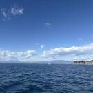 東京農工大学ヨット部